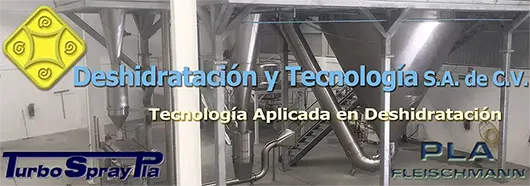 Secador por aspersión